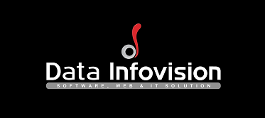 Data infovision web development