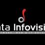 Data Infovision web development